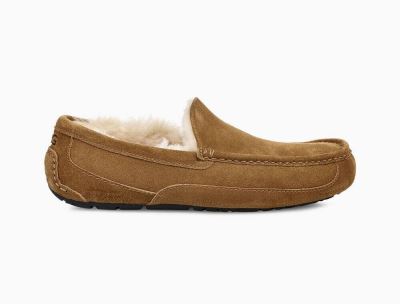 UGG Ascot Slippers for Mens - Chestnut/Brown India